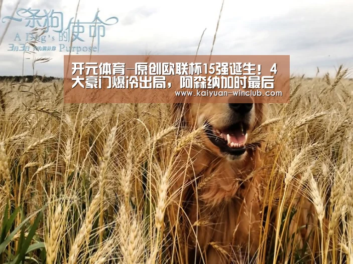 开元体育-原创欧联杯15强诞生!4大豪门爆冷出局,阿森纳加时最后时刻被绝杀(图1) 开元官网