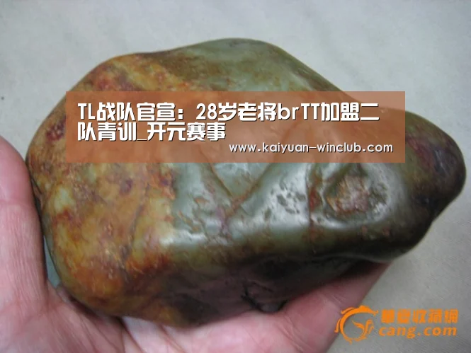 TL战队官宣:28岁老将brTT加盟二队青训_开元赛事(图1) 开元赛事