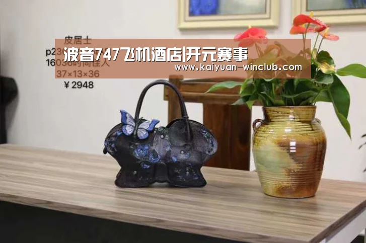波音747飞机酒店|开元赛事(图3) 开元赛事