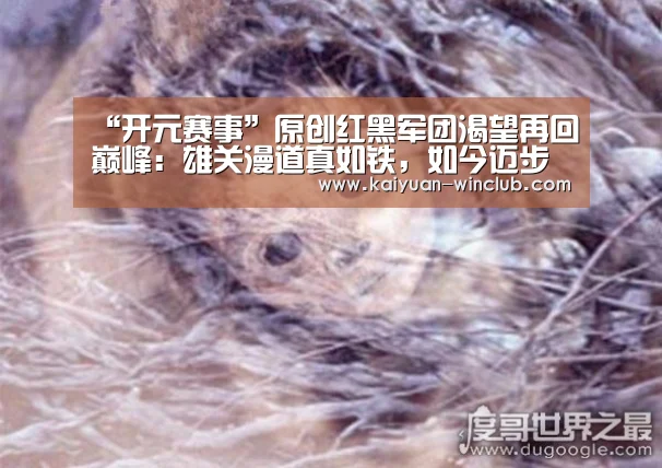 开元官网