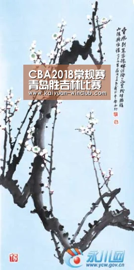 CBA2018常规赛青岛胜吉林比赛回顾 约翰逊33+22是如何完成的-开元体育(图3) 开元赛事