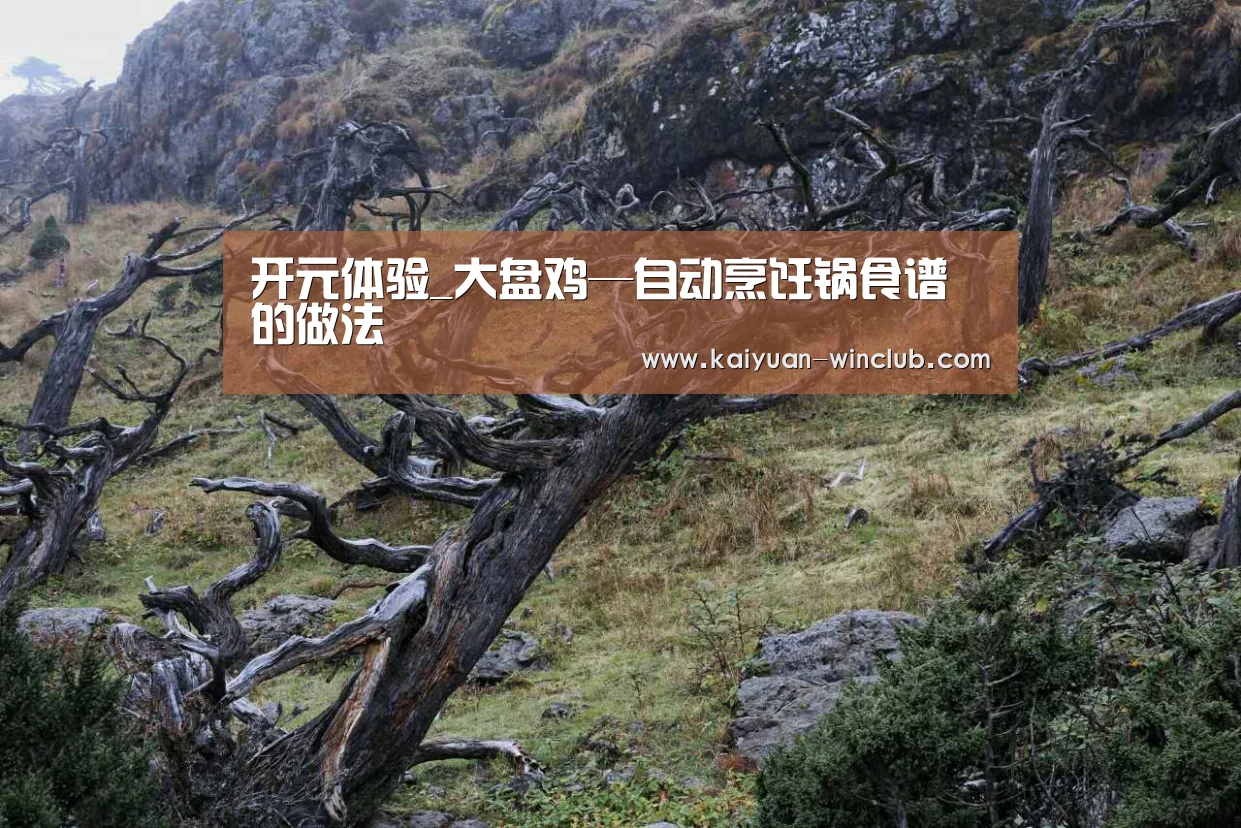 开元体验_大盘鸡—自动烹饪锅食谱的做法(图1) 开元赛事