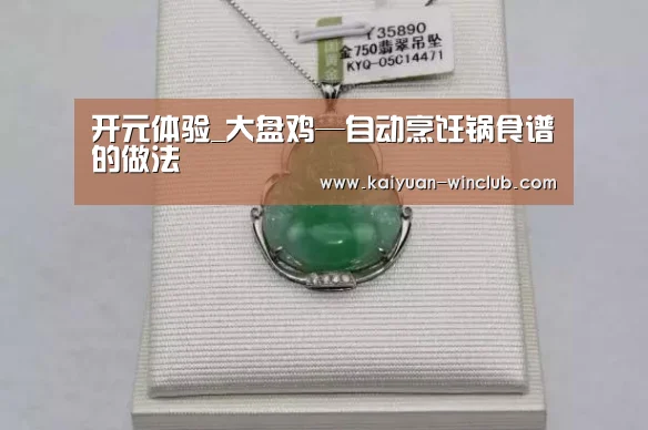 开元体验_大盘鸡—自动烹饪锅食谱的做法(图3) 开元体育