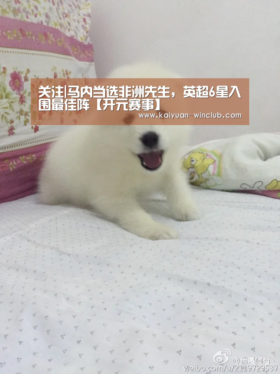 开元赛事