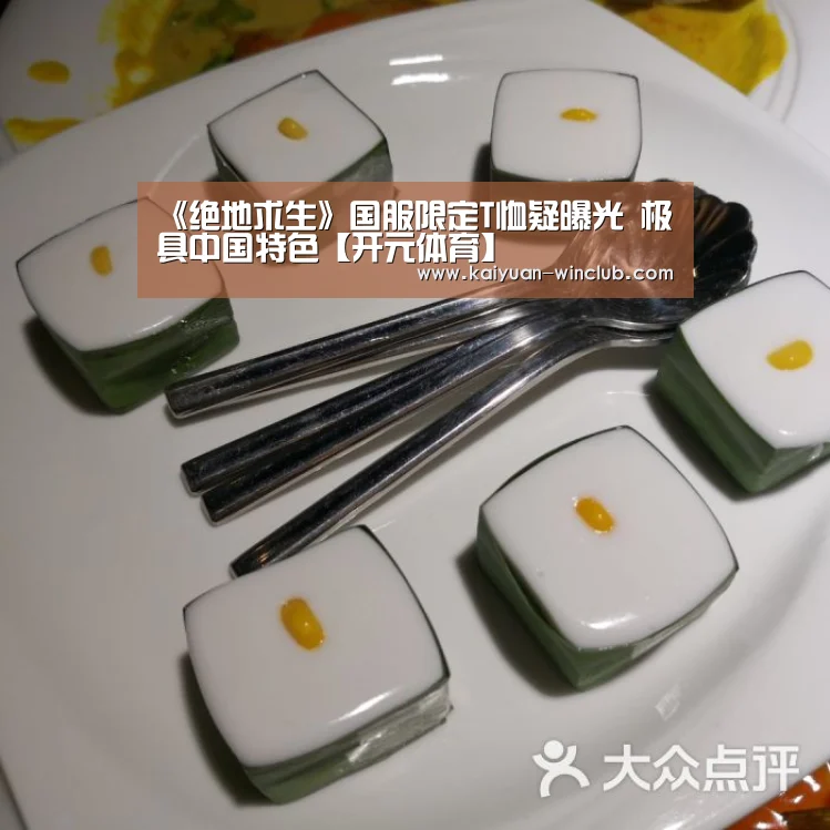 《绝地求生》国服限定T恤疑曝光 极具中国特色【开元体育】(图1) 开元体验
