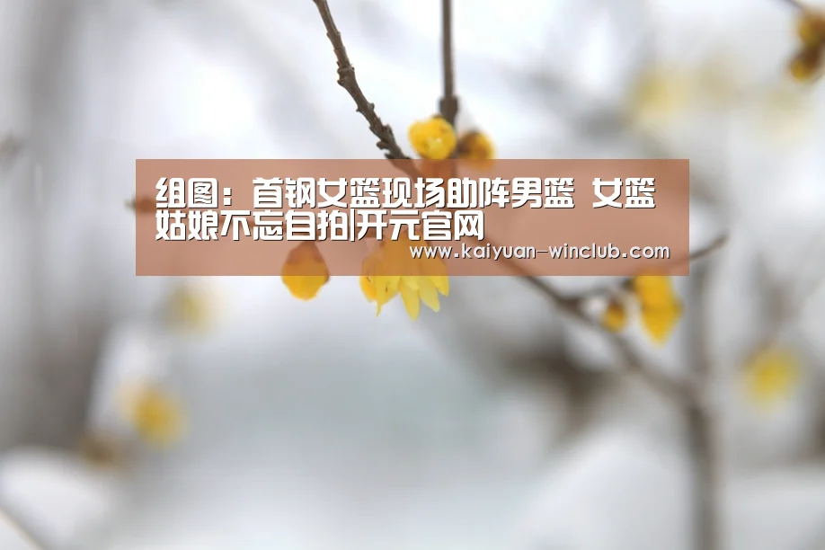 开元赛事